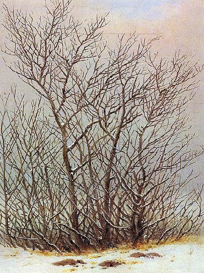 Caspar David Friedrich Baume und Straucher im Schnee oil painting picture